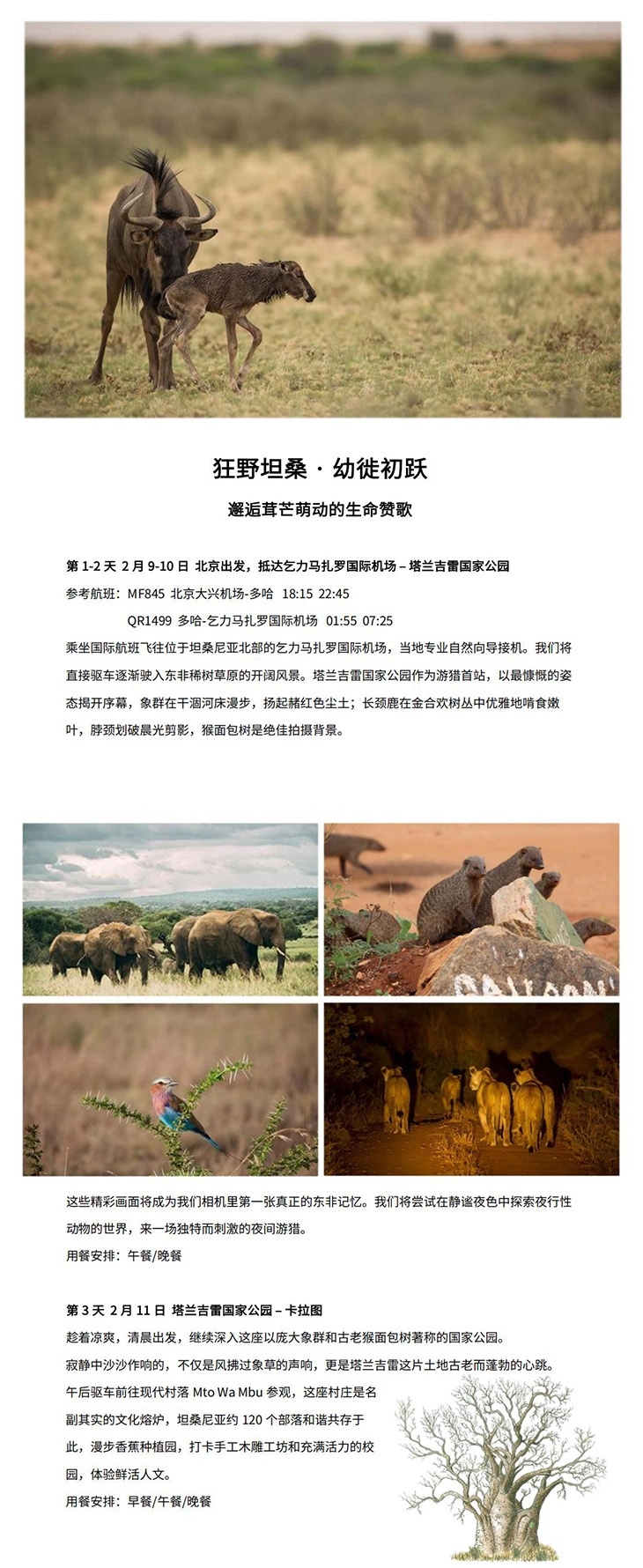 坦桑 行程长图_1.jpg