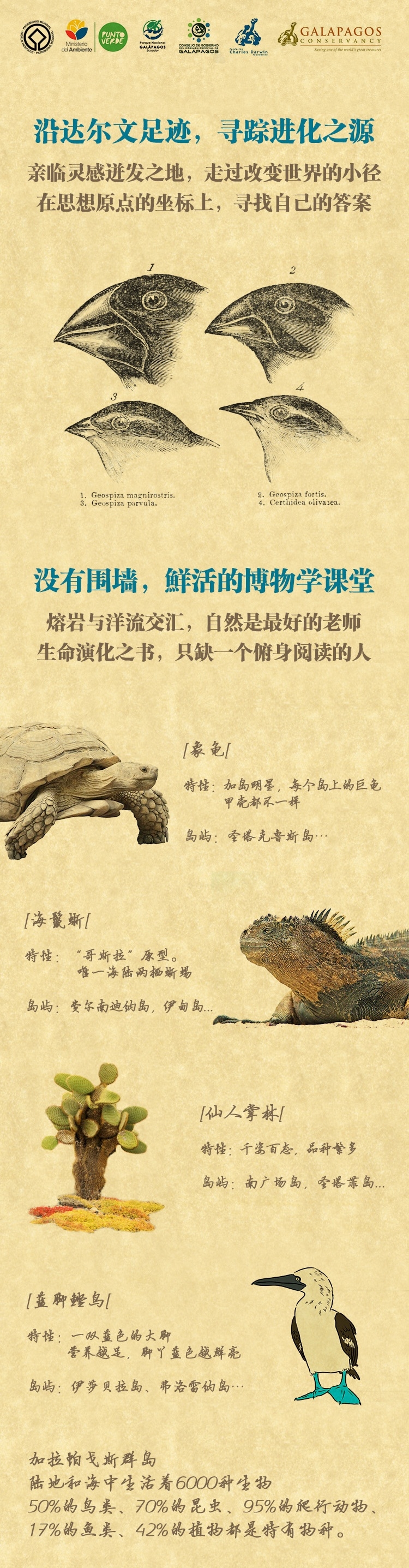 加拉 _2.jpg