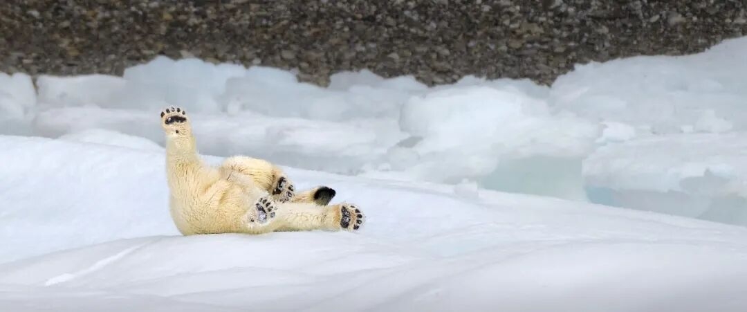 8.jpeg