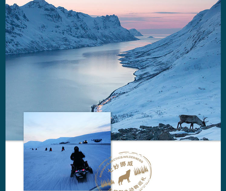 七妙挪威 北极野生动物巡礼(图3)